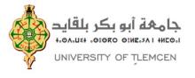 University of Tlemcen logo